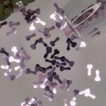 DOLUV HEN PARTY ACCESORIES PENIS CONFETTI 100PCS