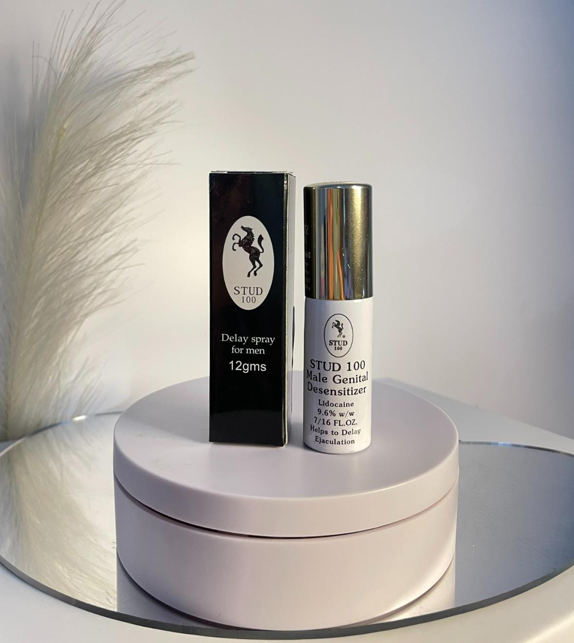 WhatsApp Image 2025-10-28 at 5.06.29 PM