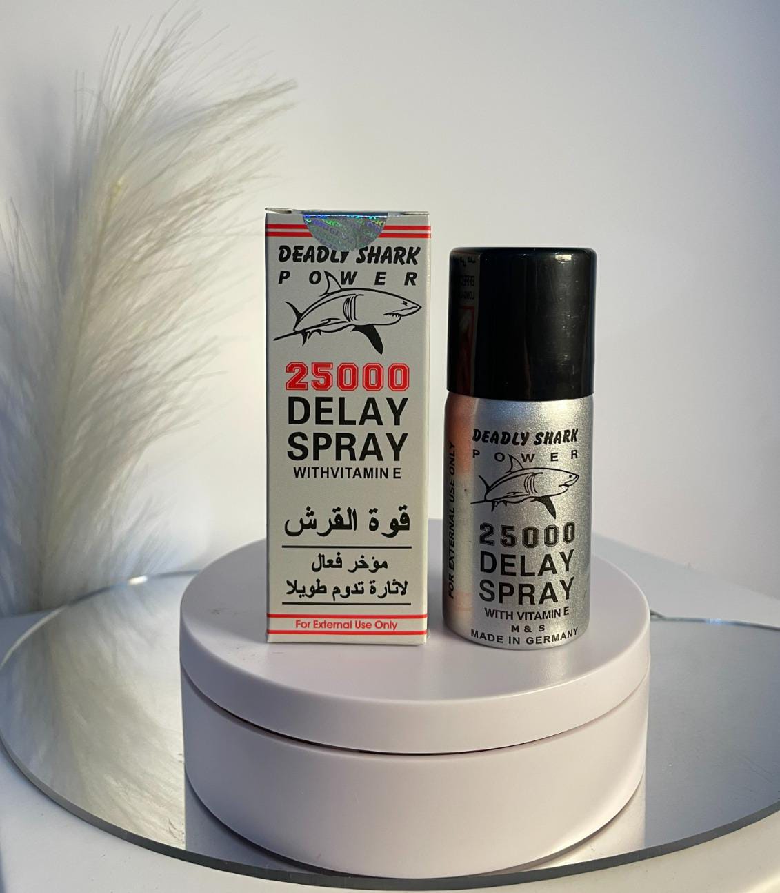 WhatsApp Image 2025-10-28 at 5.24.54 PM