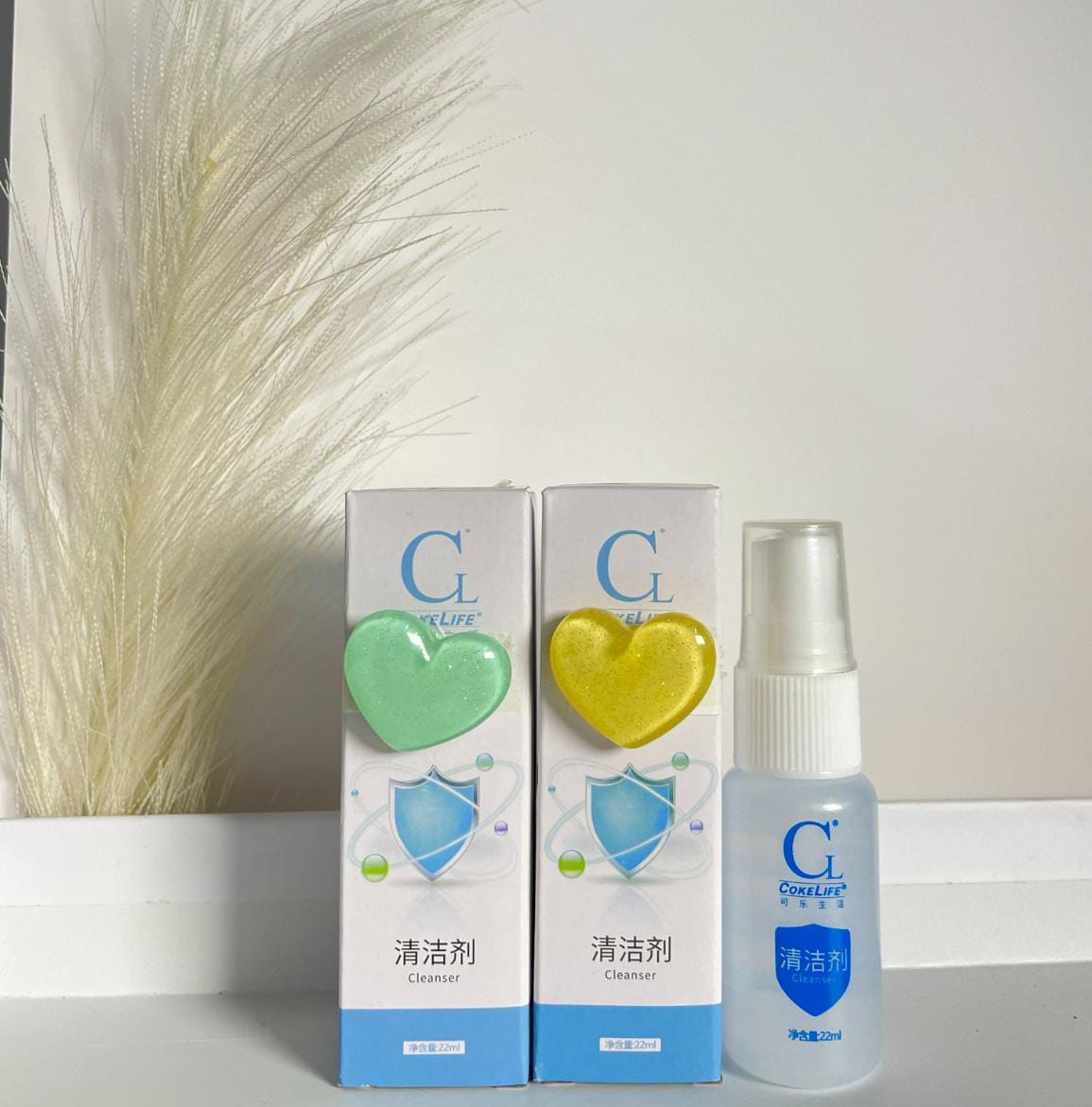 WhatsApp Image 2025-10-29 at 2.31.08 PM