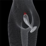 LOVETOY FLAWLESS 6.0" CLEAR PROSTATE PLUG - Image 3