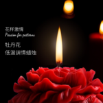 QUEENSTY CANDLE-PEONY FLOWER RED BOX - Image 3