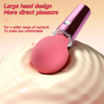 QUEENSTY DIAMOND AV VIBRATING MISCROPHONE VIBRATOR - Image 4
